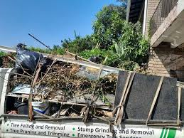 Best Shed Removal  in Larksville, PA